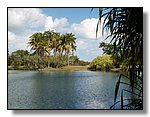 Miami
Fairchild Tropical Gardens